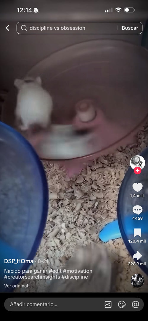 Viral video clip